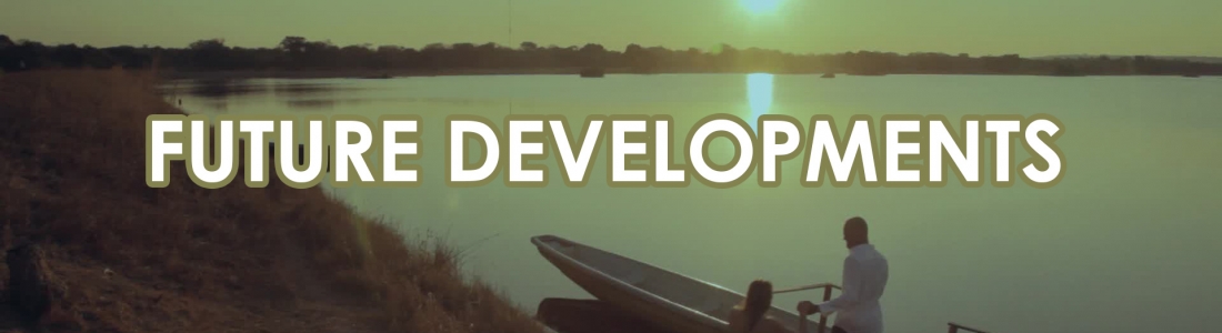 Future Developments and Services Future Developments and Services