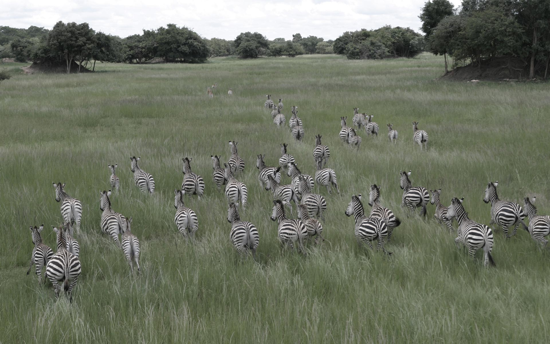 Welcome to Chaminuka Wildlife Estate