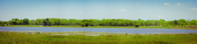 IMG_0652-Pano